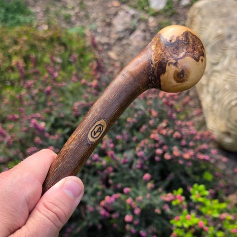 SHILLELAGH, IRISH STICK, HAZEL