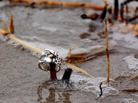BAGUE DE FIANÇAILLES MÉDIÉVALE XV : SIÈCLE, BRONZE