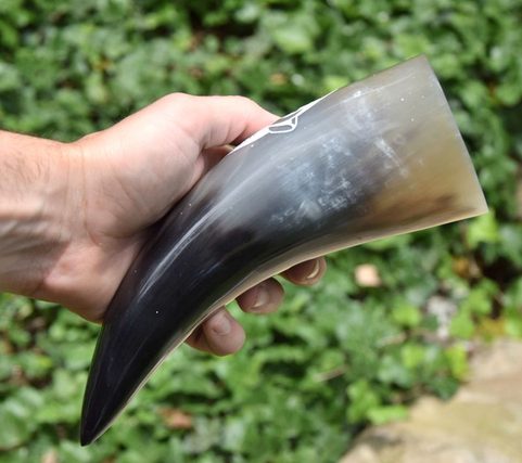 BOAR, ENGRAVED CELTIC DRINKING HORN