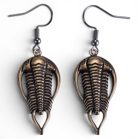 TRILOBITEN-OHRRINGE AUS BRONZE