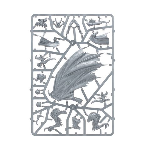 WARHAMMER AGE OF SIGMAR - IONUS CRYPTBORN, GARDIEN DES ÂMES PERDUES