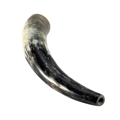 SIGNAL HORN 38 CM