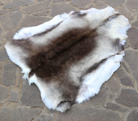REINDEER FUR FROM LAPLAND, HIGH QUALITY
