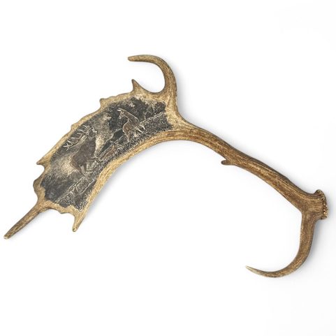 DEER AND DOE, FALLOW DEER ANTLER - SCRIMSHAW