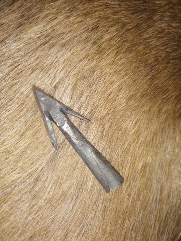 IRON ARROWHEAD, STEEL