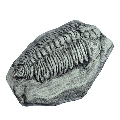 TRILOBIT, REPLICA OF A FOSSIL