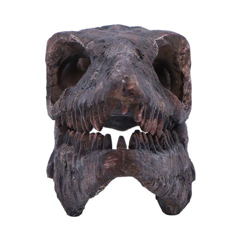 ARCHAEOPTERYX, SKULL, IMITATION, 18CM