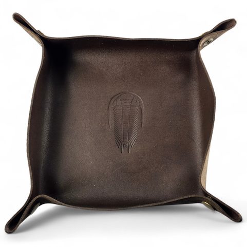 PLATEAU EN CUIR FOSSILE, TRILOBITE