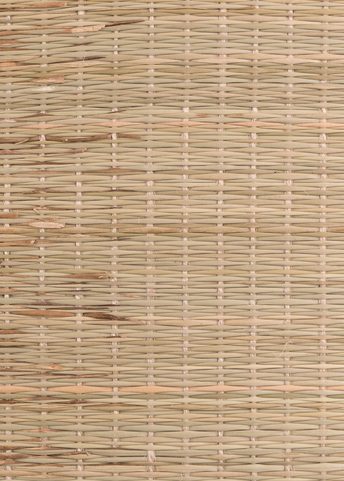 TRAINING MAT TAMESHIGIRI TATAMI OMOTE 180X90 CM