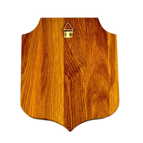 CAT FROM THE PUB, WOODEN SHIELD ON THE WALL, KINGDOM COME: DELIVERANCE 2, LARGE