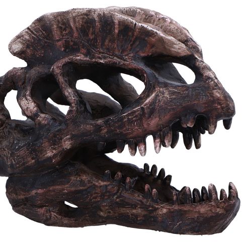DILOPHOSAURUS , SKULL, IMITATION, 16CM