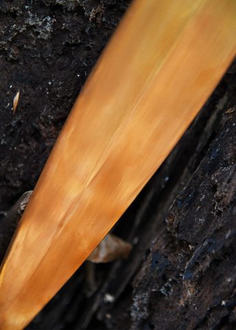 SCHWERT AUS DER BRONZEZEIT