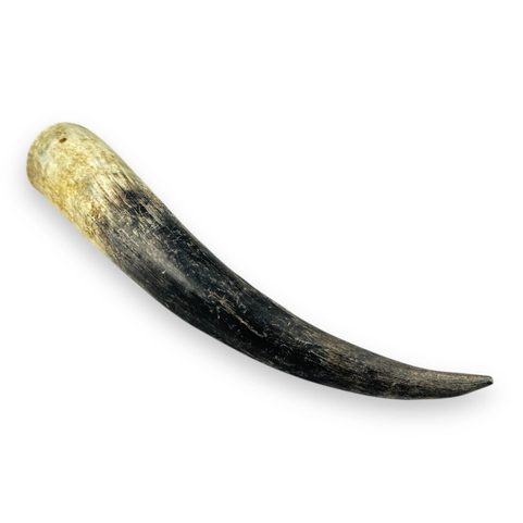 COW HORN RAW LARGE 0,5L