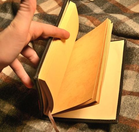 WOLF, HAND MADE BOOK OF SHADOWS, LEATHER CASE
