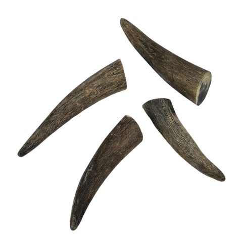 DRAGON CLAW - HORN TIP