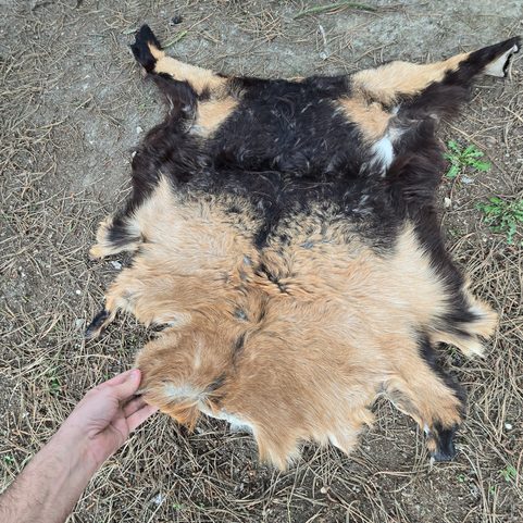 FUR - GOAT