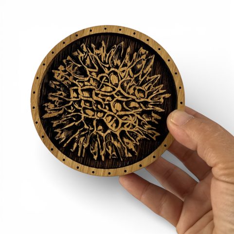 BOÎTE EN CHÊNE MOLDAVITE POUR COLLECTIONNEURS DE PIERRES, MOLDAVITE ET BRACELETS