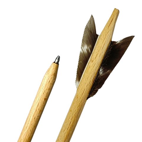 5 DARTS FOR THE MINICROSSBOW