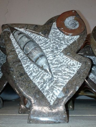 PALEOZOIC COLUMN WITH GONIATIT