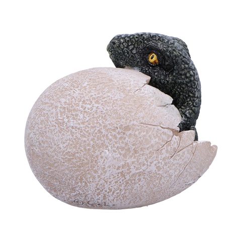 RAPTORS DAWN, DRAGON OR DINOSAUR EGG