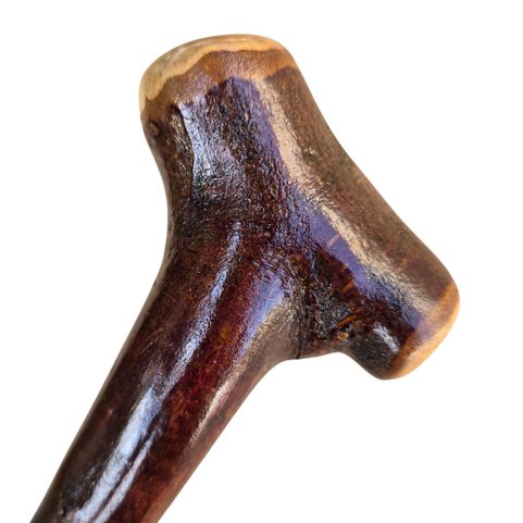 SHILLELAGH - IRISH CANE, CASEY'S BLACKTHORNS