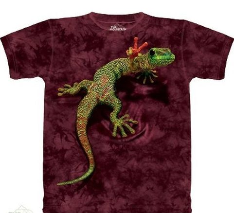 PEACE OUT GECKO, REPTILE, THE MOUNTAIN, T-SHIRT