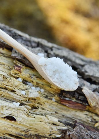 BIRCH BOX FOR SALT AND SPOONS