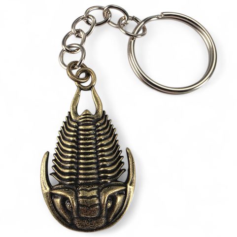 SCHLÜSSELANHÄNGER MIT TRILOBIT, ZINK, ALTMESSING