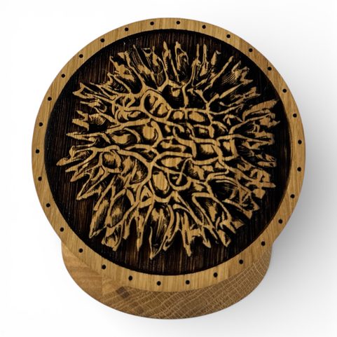 BOÎTE EN CHÊNE MOLDAVITE POUR COLLECTIONNEURS DE PIERRES, MOLDAVITE ET BRACELETS