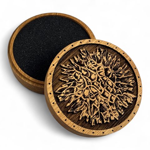 MOLDAVITE OAK BOX FOR COLLECTORS OF STONES, MOLDAVITE AND BRACELETS