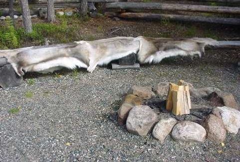 REINDEER FUR FROM LAPLAND, HIGH QUALITY