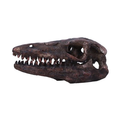 ARCHAEOPTERYX, SKULL, IMITATION, 18CM