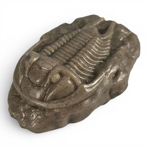 FIGURINE DE TRILOBITE