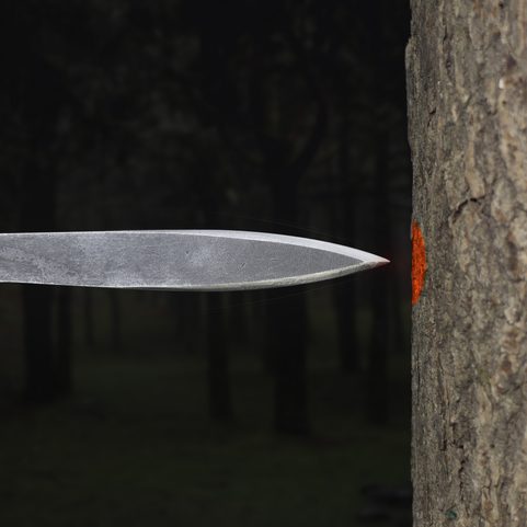 BEAR CLAW, THROWING KNIFE