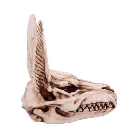 ANUBIS, SKULL, DECORATION 17CM