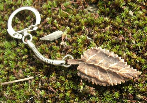 HORNBEAM TREE LEAF