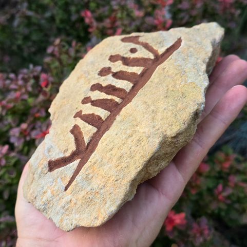 PETROGLYPH - CARVED IN STONE