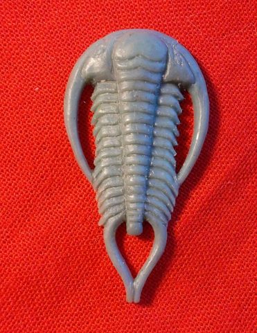 TRILOBITE, SILVER PENDANT, AG 925