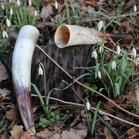 CHILDREN'S SIGNAL HORN, LENGTH APPROX. 30 CM