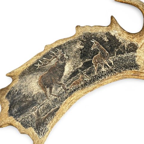 DEER AND DOE, FALLOW DEER ANTLER - SCRIMSHAW