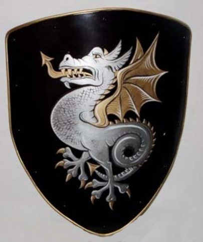 DRAKE - PAINTED SHIELDS