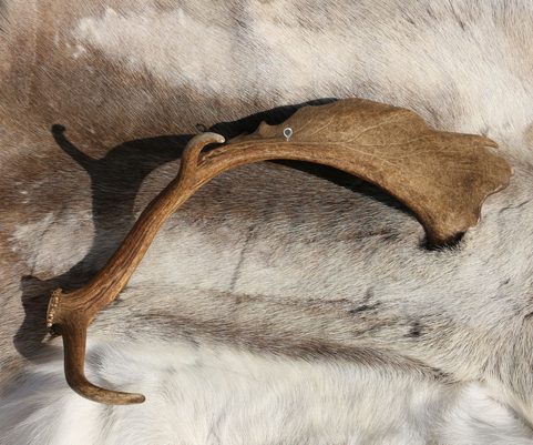 CERNUNNOS, CELTIQUE DIEU, GRAVÉE ANTLER