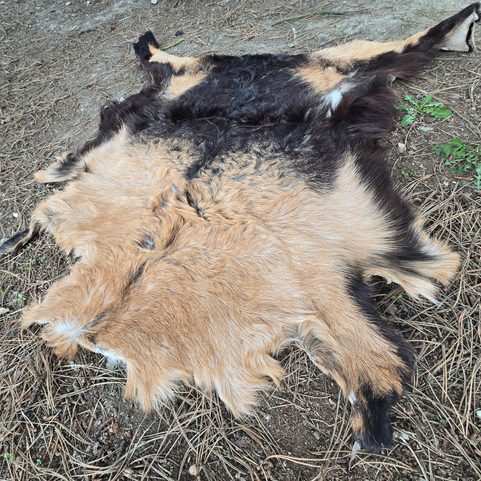 FUR - GOAT