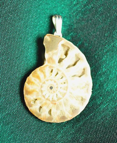 FOSSIL AMONITE, PENDANT, AG 925