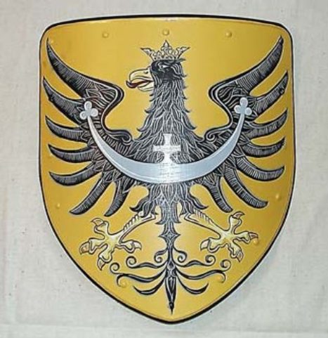 BLACK EAGLE - PAINTED SHIELD