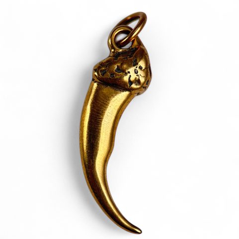 WOLF CLAW, PENDANT, BRONZE