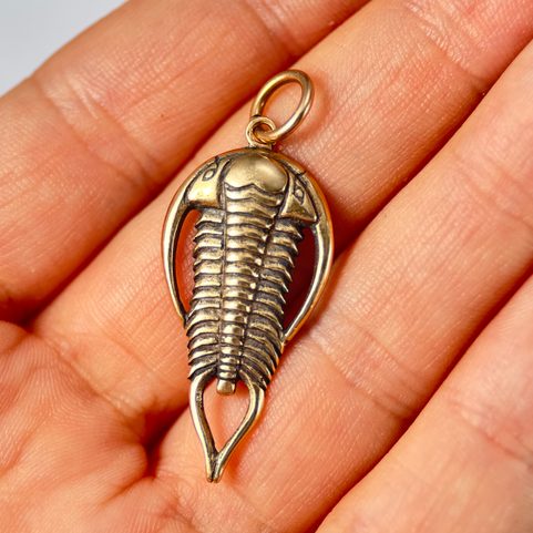 TRILOBIT, AMULETT, TALISMAN, BRONZE