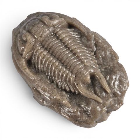 FIGURINE DE TRILOBITE