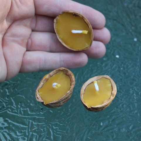 NOIX FLOTTANTE - BOUGIE EN CIRE D'ABEILLE DANS UNE COQUILLE