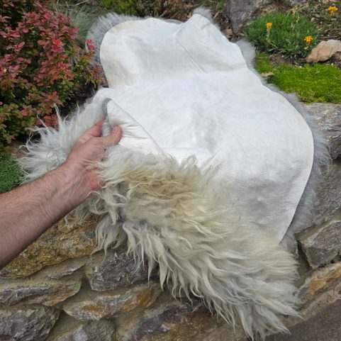 SHEEPSKIN, SWEDISH MELERADE SHEEP